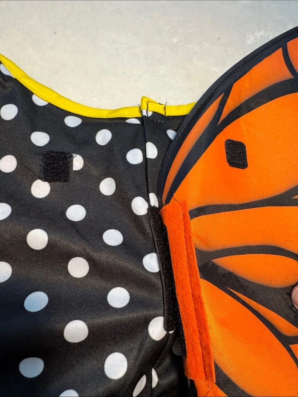 Halloween children’s orange and black monarch butterfly costume. Removable wings